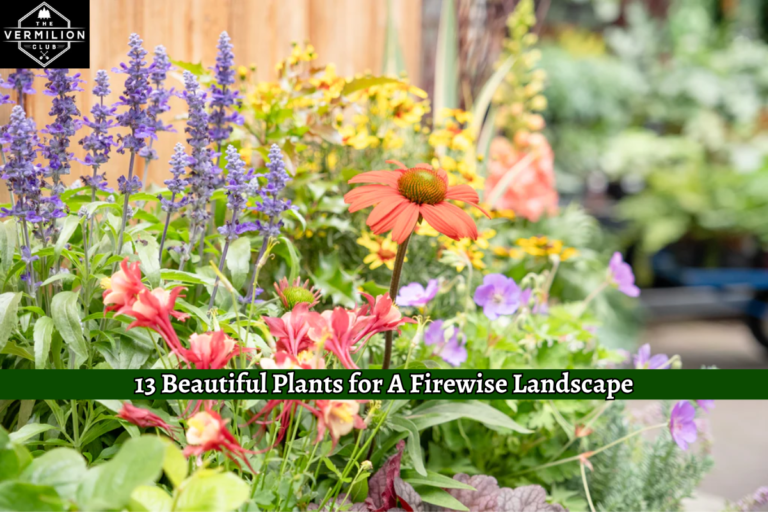 13 Beautiful Plants for A Firewise Landscape